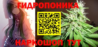 МДПВ Гагарин