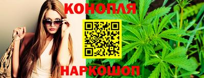 СК Гай