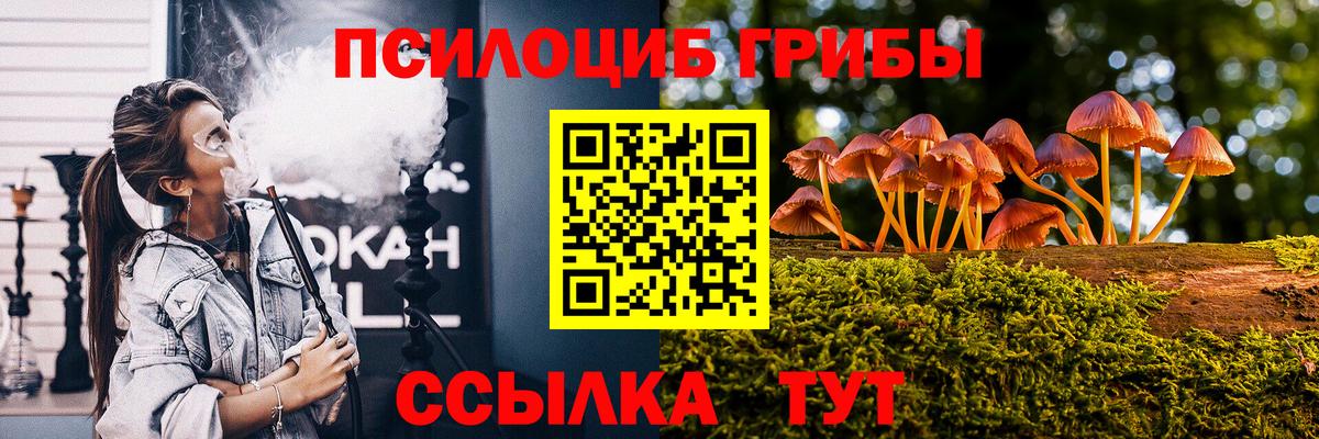 Малгобек  Галлюциногенные грибы мицелий  Псилоцибиновые грибы Magic Shrooms  Вход с VPN 